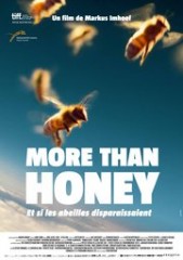 more-than-honey-poster-fr-180[1].jpg
